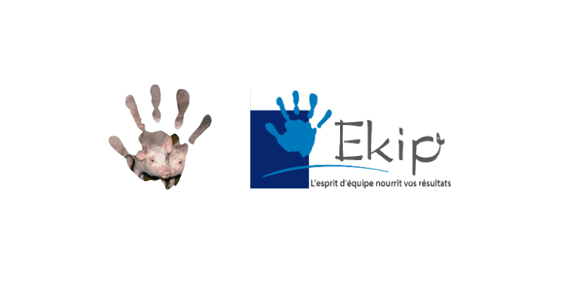 Accompagnement porcs Ekip