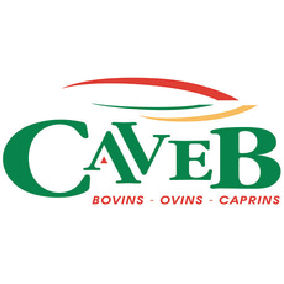 caveb