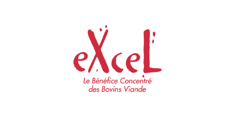 Programme bovins Excel